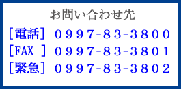 問い合わせ先